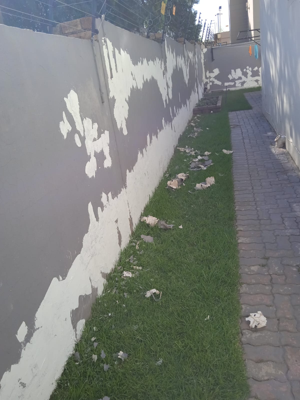 Damp proofing site photo from WhatsApp